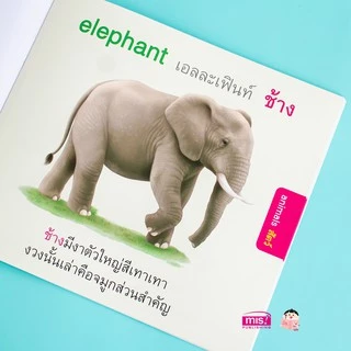 5 เรื่องพื้นฐานเด็กต้องรู้ หนังสือเด็กเล็ก ✌️ กระดาษหนา ทนทาน ✌️ หนูชอบกินผัก ผลไม้ สัตว์น่ารัก สีสัน นับเลข ฝึกอ่าน ✌️
