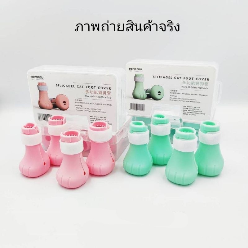 รูปภาพ 7