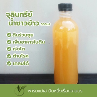 จุลินทรีย์น้ำซาวข้าว ชนิดน้ำ ขนาด 500ml. (เก็บเงินปลายทาง)