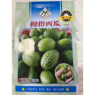 เมล็ดพันธุ์ แตงกวาจิ๋ว เม็กซิกัน แตง (Mexican Sour Gherkin Cucumber Seed) บรรจุ 100 เมล็ด