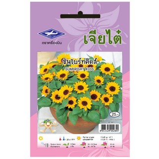 เมล็ดพันธุ์ซันไบร์ทคิดส์ ตราเครื่องบิน SEED SUNBRIGHT KIDS