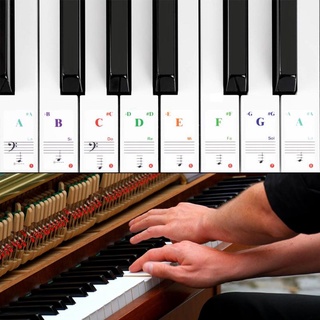 88/61/54/49/37/32 Piano Transparent Key Stickers Glue Finger Practice Can Be Moved Note Chart Keyboard