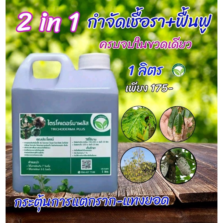 ไตรโคเดอร์มา พลัส 2in1 ขนาด 1ลิตร-1000cc กำจัด-ป้องกันโรคเชื้อรา+ฟื้นฟู