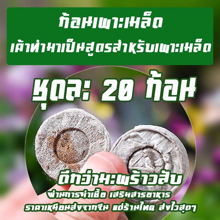 (พร้อมส่ง) พีทอัดก้อน(รำมะพร้าวผสมธาตุอาหาร)ขนาด 30 มม. ใช้สำหรับ เพาะเมล็ด เพาะต้นกล้า ปักชำกิ่ง เพาะแคตตัส สายเขียว