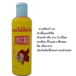 SC เยลโล่ลิควิด 240 ml. (ยาเหลืองน้ำ ฆ่าเชื้อแบคทีเรีย เน่าเปื่อย ตกเลือด บาดแผล เบื่ออาหาร ขนย้ายปลา) ราคาถูกสุด ราคาส่