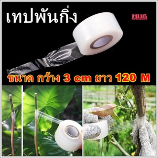 เทปพันกิ่งไม้ 3 cm x120 M เทปพันกิ่ง เทปทาบกิ่ง เทปพันกิ่งต้นไม้ ฟิมล์พันกิ่ง ฟิล์มพันกิ่ง เทปยืดพันกิ่ง เทปติดตาต้นไม้