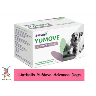 Yumove advance Dog อาหารเสริมบำรุงข้อ กระดูก ทำจากธรรมชาติ