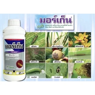ฟีโพรนิล มอร์เก็น 1lt กำจัดเพลี้ย หนอน มด ปลวก หมัด