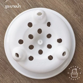 ⚫️ กระถางพลาสติก สำหรับปลูก กระบองเพชร แคคตัส ทรงสูงปากกว้าง ขาสิงห์ สามขาทรงสูง Size S, M, L ขนาด 3,4,5 นิ้ว ⚪️