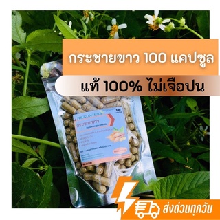 กระชายขาว 100 capsules ชากระชาย ชากระชายขาว กระชายขาวบดละเอียดจากสวน ไม่มีสารเจือปน