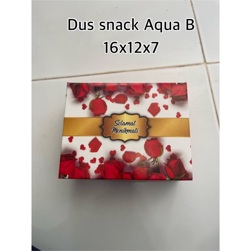 Aqua Snack Box B 16x12x7