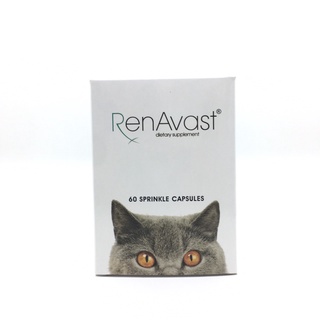 Renavast cat อาหารเสริมโปรตีนสำหรับแมวโรคไต