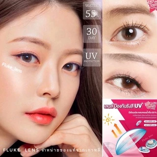 คอนแทคเลนส์ (มินิ) 💗 Mini bom brown,gray 💗 อมน้ำ55% ถนอมดวงตาป้องกันแสง Kittykawaii 🇰🇷 Made in Korea