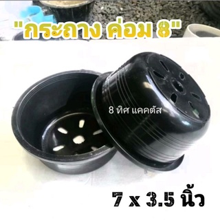 กระถาง ค่อม 8 // กด 12 ใบ 90 บาท -- กระถาง 7 นิ้ว ทรงถ้วย -- กระถางพลาสติก กระถางแคคตัส กระบองเพชร