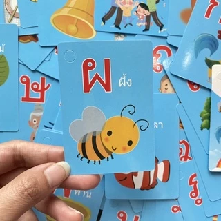 พร้อมส่ง แฟลชการ์ด ก-ฮ flashcard บัตรคำศัพท์ ก-ฮ 45ใบ การ์ดคำศัพท์พยัญชนะไทย