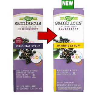 Natures Way, Sambucus for Kids, Standardized Elderberry, Original Syrup 240 ml