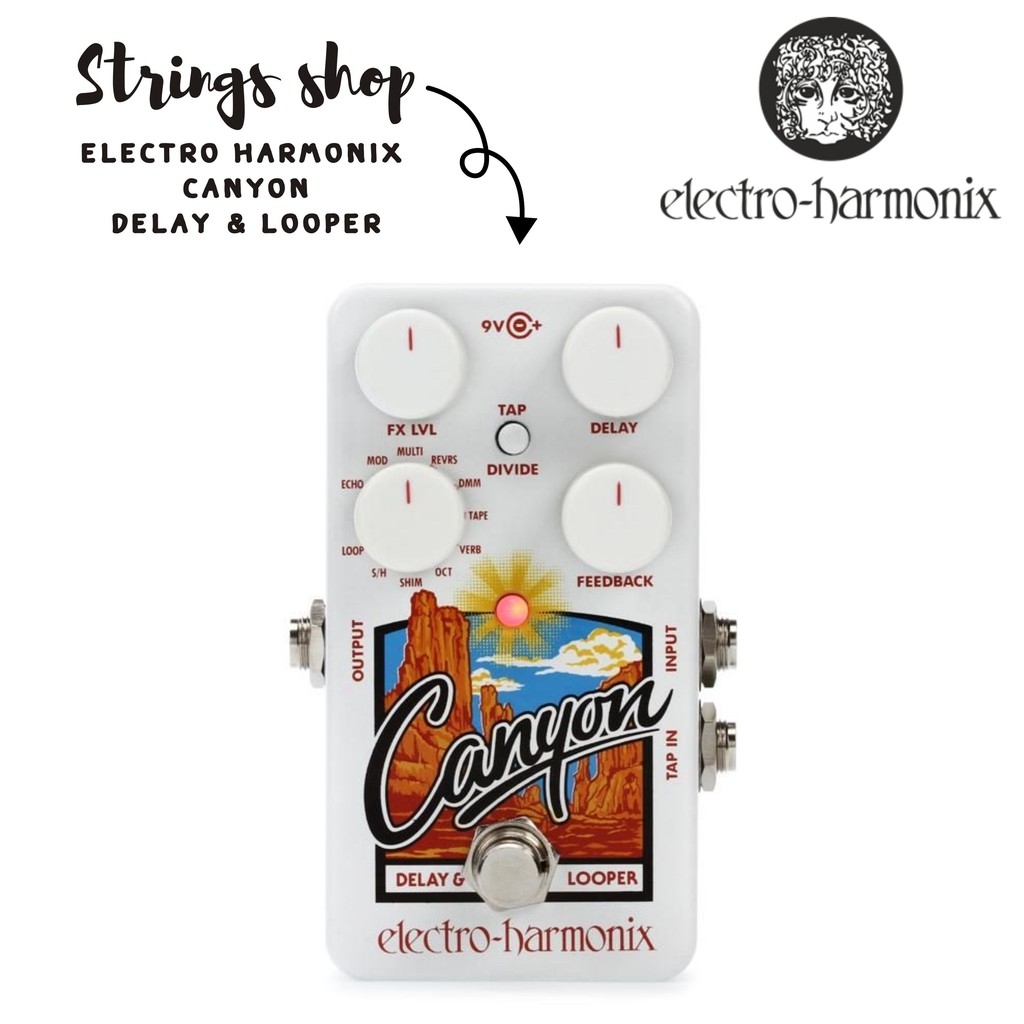 大特価放出！ electro harmonix Canyon Delay Loopers