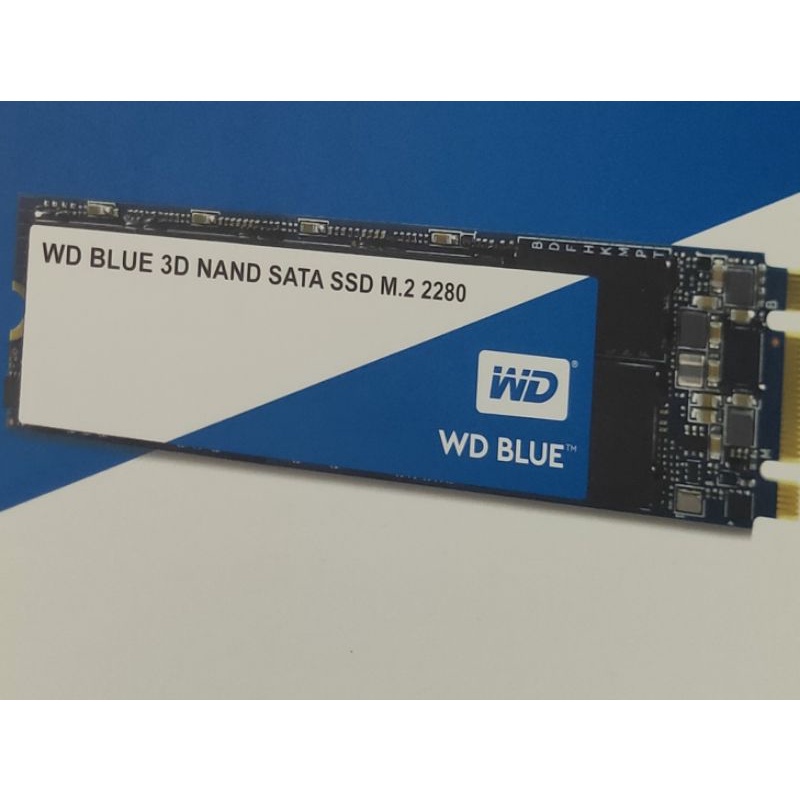 WD Blue SATA SSD M.2 2280 1TB มีประกัน