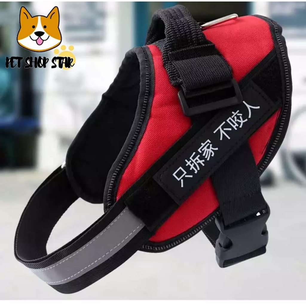 ใหม่ล่าสุด HERNESS DOG LEAD XS SML XL IMPORT PREMIUM