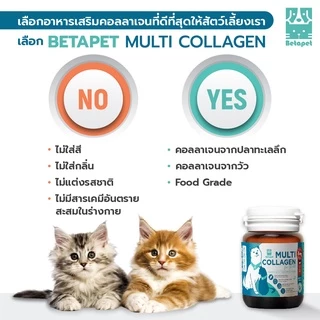 BETAPET อาหารเสริมคอลลาเจน 100% สำหรับสุนัขและแมว บำรุงขนและผิวหนัง เพิ่มความชุ่มชื้น ลดผิวหนังหลุดลอกเป็นขุย
