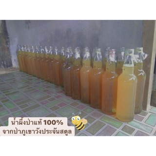 น้ำผึ้ง🐝ป่าแท้100%จากสตูล ไม่หวานยินดีคืนเงิน(รับประกัน)