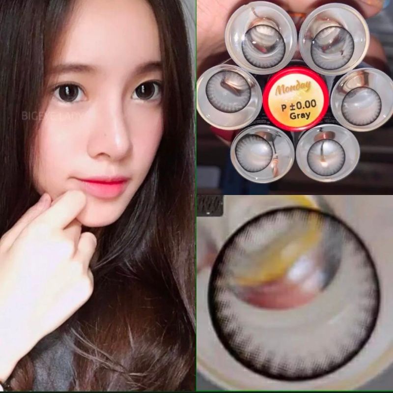 Monday gray คอนแทคเลนส์ตาโต ขอบดำ