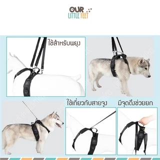 ผ้าพยุงสุนัขหน้า - หลัง รุ่น Tail UP