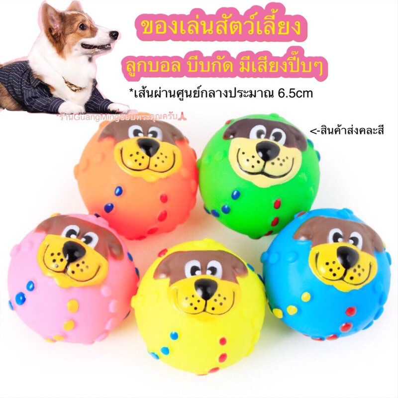 ของเล่นสุนัขแมว ลูกบอลสุนัข บีบปี๊บๆ(🇹🇭พร้อมส่ง📦）