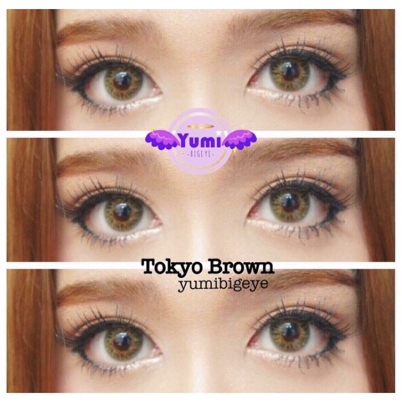 Tokyo brown (Dreamcolor) ราคา ถูกที่สุด ดีลบีเคเค แกลเลอรีภาพที่ 6