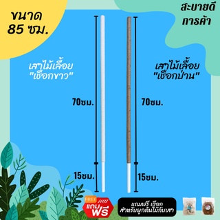 หลักต้นไม้ เสาไม้เลื้อย เสาค้ำต้นไม้ หลักไม้เลื้อย เชือกป่าน เชือกขาว (PVC) DIY ยาว 85ซม. ตกแต่งบ้าน สไตล์มินิมอล