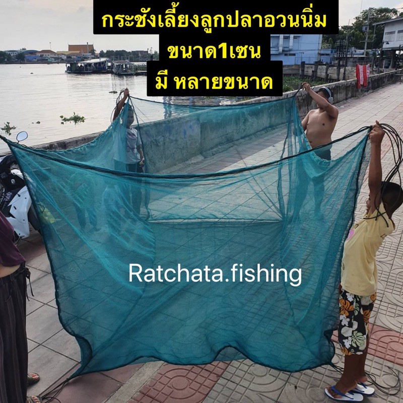 กระชังเลี้ยงปลา(ลูกปลา) สูง1.8เมตร👍ขนาด 1 เซน(ตาข่ายนิ่มไม่มีปม)👍พร้อมใช้งาน