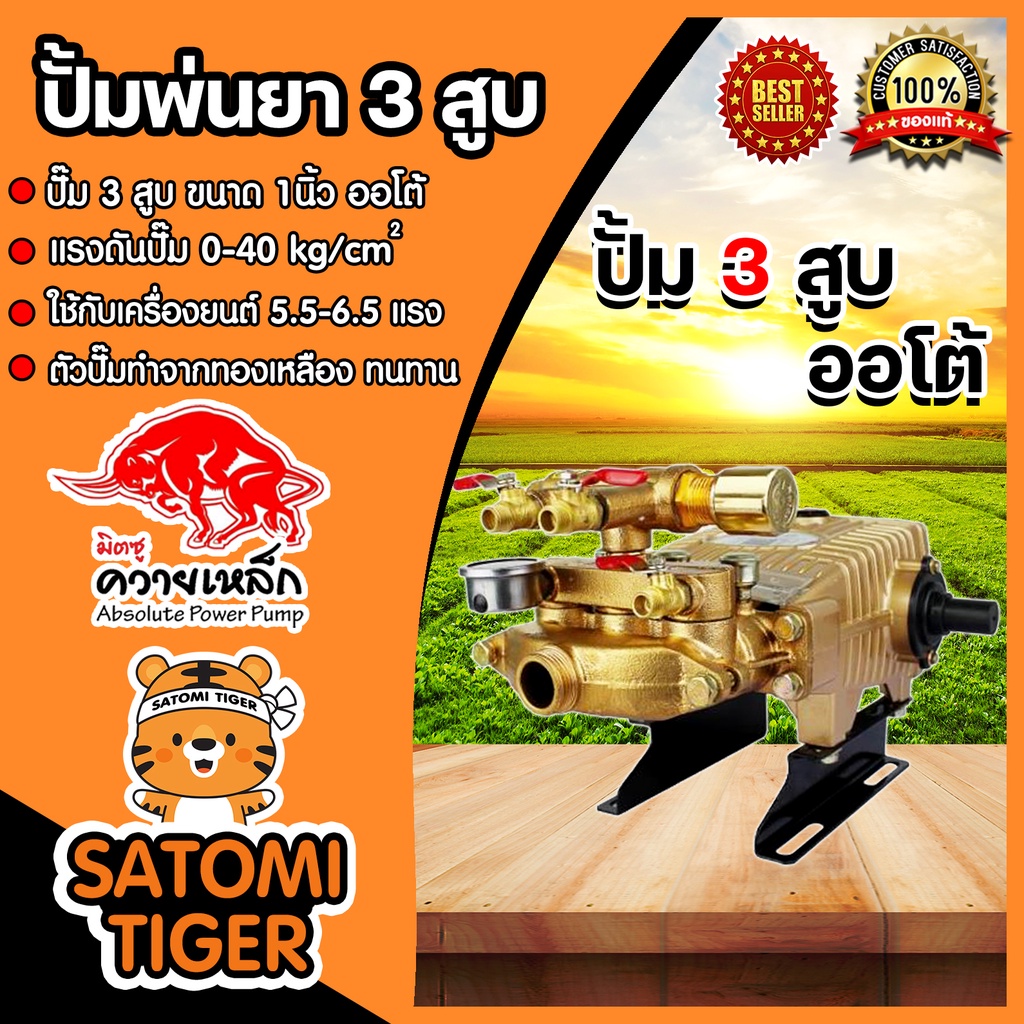 เครื่องพ่นยา 3สูบ 1 นิ้ว ควายเหล็ก รุ่น ZB-30BE1N ออโต้ เครื่องพ่นสามสูบพ่นแรง พ่นไกล ปั้มพ่นยา3สูบ ปั๊มแรงดัน ปั๊มพ่นยา
