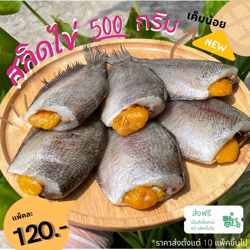 ปลาสลิดไข่ Size 8 ตัวมีไข่ 500กรัม