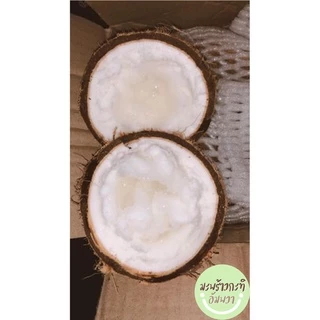 ✅ พร้อมส่ง❗️ราคาดีที่สุด ถูกมาก❗️มะพร้าวกะทิลูก🌴 มะพร้าวกะทิ มะพร้าวกะทิเนื้อฟู มะพร้าวกะทิน้ำข้น มะพร้าวกะทิพร้อมทาน