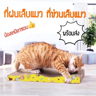 พร้อมส่ง😸ที่ลับเล็บแมว#ที่ฝนเล็บแมว