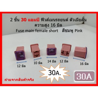 2 ชิ้น 30 แอมป์ ฟิวส์เมนตัวเมีย  Main Fuse ตัวสั้น สูง 16 มิล สีชมพู