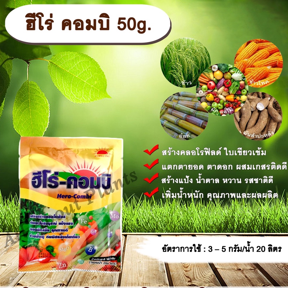 รวมกัน 90+ ภาพพื้นหลัง ภาษา อา รา บิ ค คมชัด