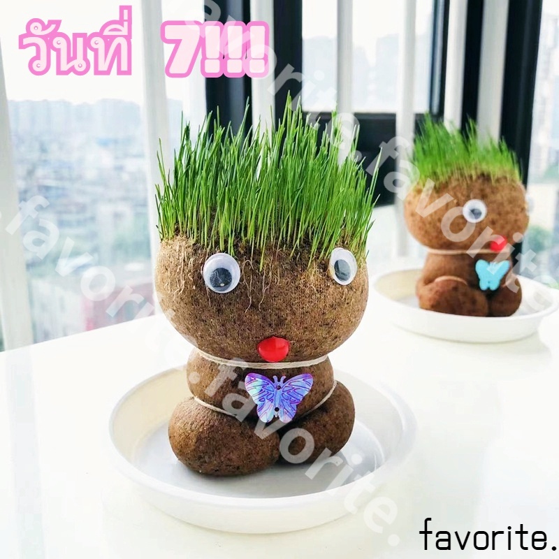 รูปภาพ 3