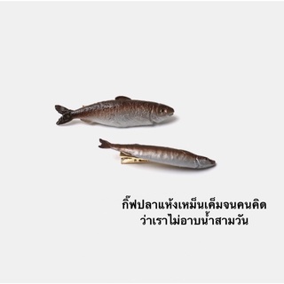 กิ้บปลาแห้ง ตกแต่งศีรษะทุกเพศวัยสปีชีส์