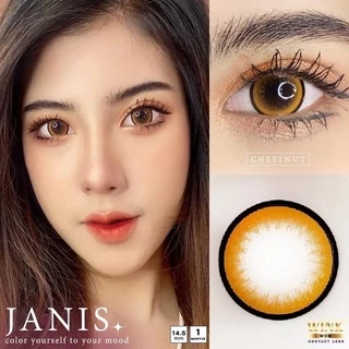 คอนแทคเลนส์ wink Janis เทา/ตาล ตาโต