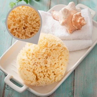KALLA SPONGE ฟองน้ำธรรมชาติ ชนิด Honeycomb สีเหลือง ฟองน้ำ สำหรับอาบน้ำเด็กและทารก