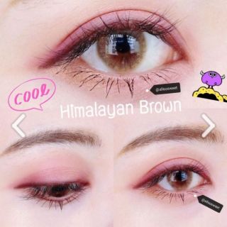 คอนแทคเลนส์ Himalayan Brown , ลุคธรรมชาติ ตาหวานๆ