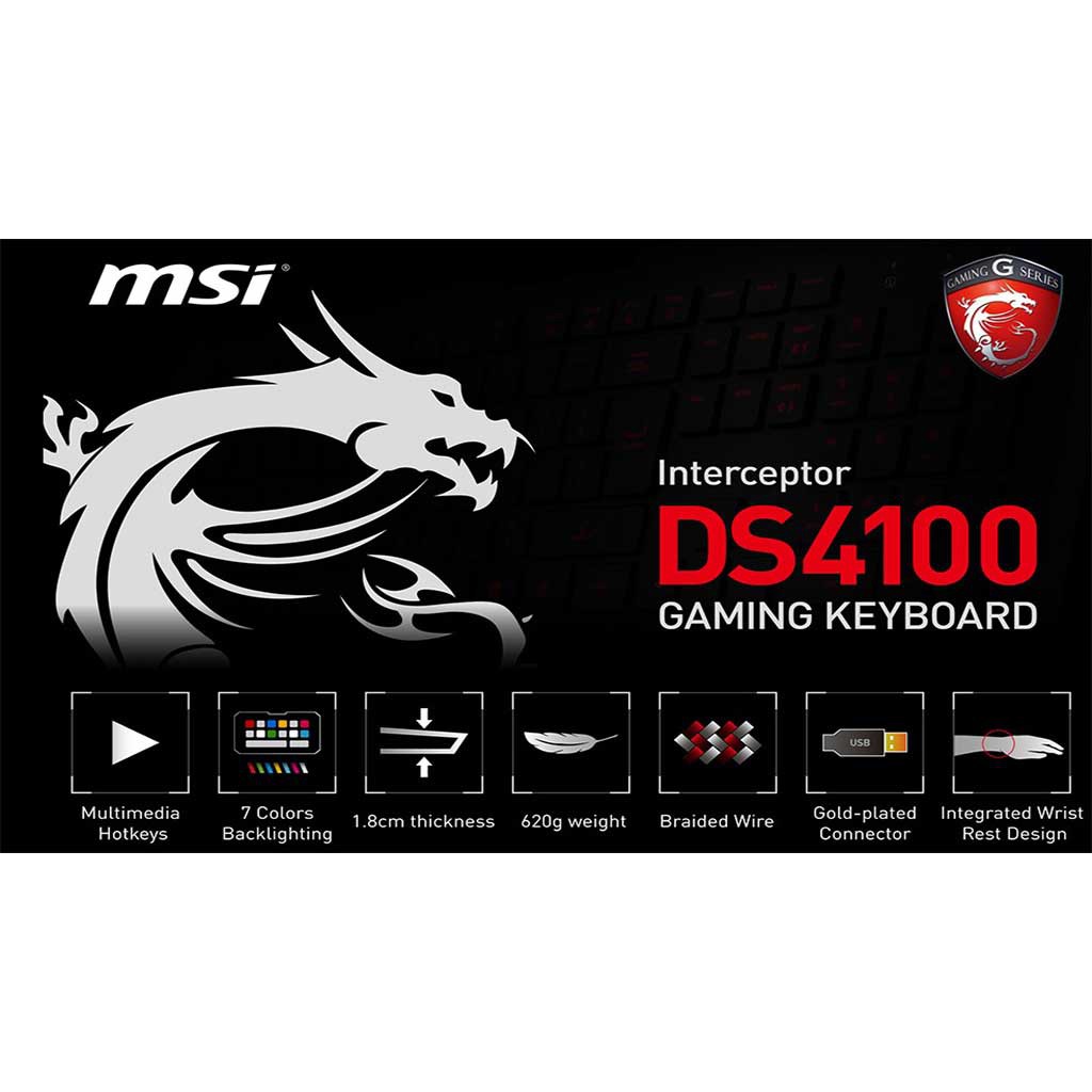 Keyboard : MSI DS4100 GAMING Keyboard