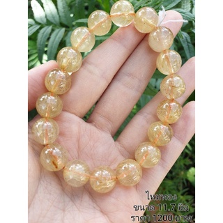 ไหมทอง Golden Rutilate Quartz