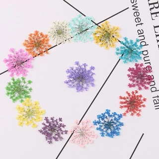100 ชิ้นลูกปัดหิมะดอกไม้ดอกไม้แห้งนูน DIY ที่คั่นหนังสือ