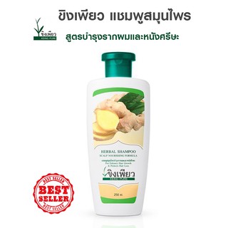 ขิงเพียวแชมพู สูตรบำรุงรากผมและหนังศรีษะ ขนาด 250 ml. ช่วยเรื่องลดผมมัน แก้รังแค