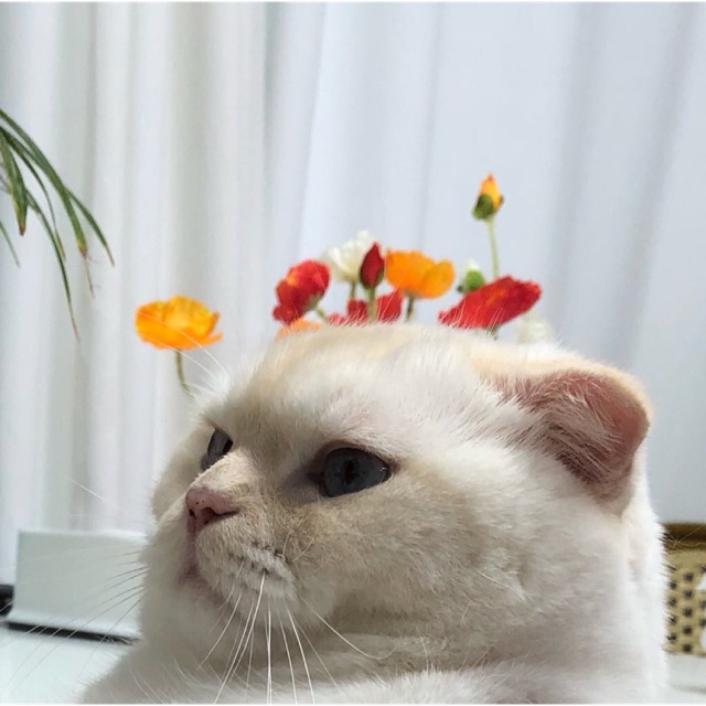 nunnco, ร้านค้าออนไลน์ Shopee Thailand