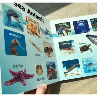 หนังสือบอร์ดบุ๊ค board book คำศัพท์ ภาพจริง กระดาษหนา ฉีกไม่ขาด 9 หมวด