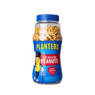 Planters Lighty Salted Peanuts 16 Oz.  ชาวไร่ถั่วลิสงรสเค็ม 16 ออนซ์