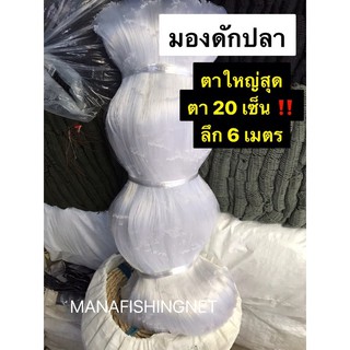 #มองปลาสวาย #ข่ายดักปลาใหญ่สุดตา 20 เซ็น ลึก 6 เมตร ป้าย 180 เมตร